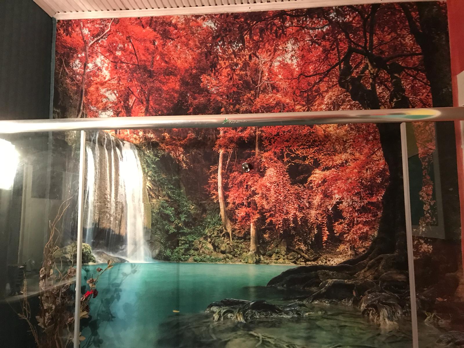 eski banyo fayanslarından kurtulmanın en ucuz ve kolay yolu
