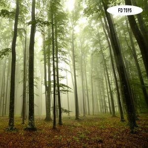 FD-7595