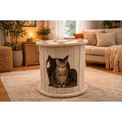 Köpük Kedi Evi
