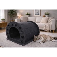 Pati Kedi Evi