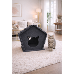 Pisipisi Kedi Evi